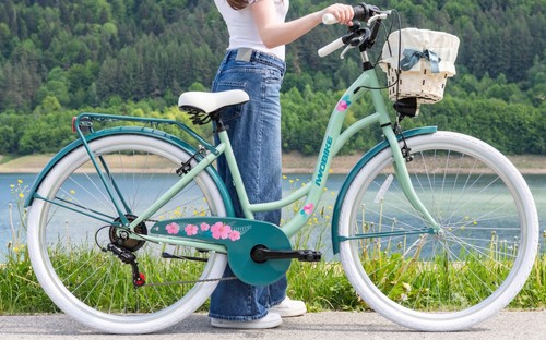 Damenfahrrad zoll citybike - damenfahrrad,