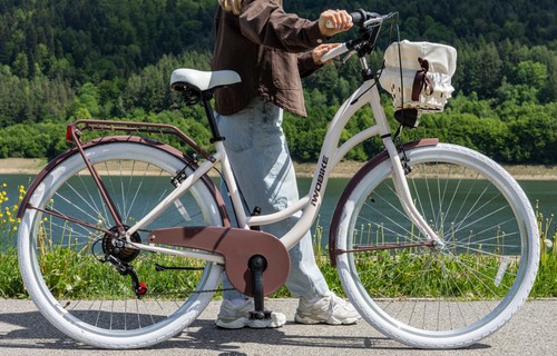 Damen citybike zoll - 28, fahrrad