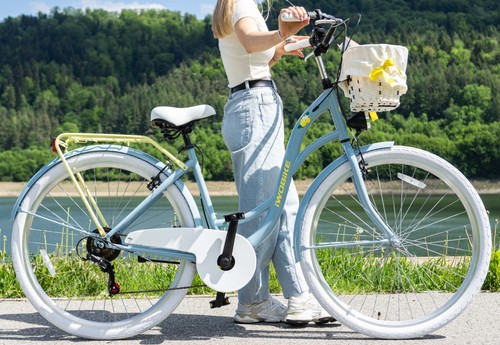 Damen citybike zoll fahrrad - damen,