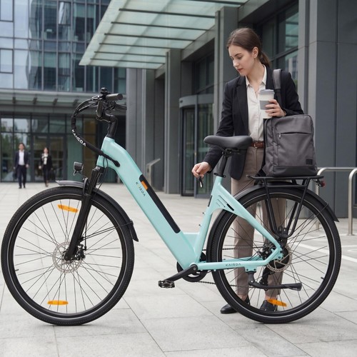 Zoll elektrofahrrad 36v - zoll,