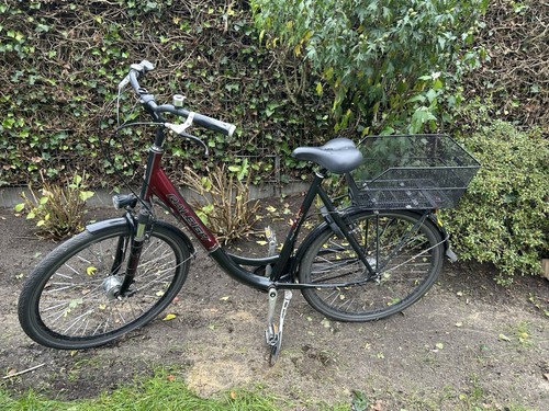 Raleigh city bike mit - city,